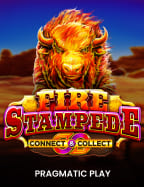 เว็บ พนัน ครบ วงจร เล่นง่าย ได้เงินไว