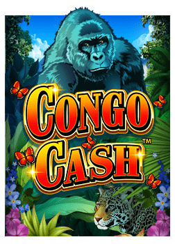 กลยุทธ์ทำเงินจากเกม hi slot ที่คุณต้องลอง